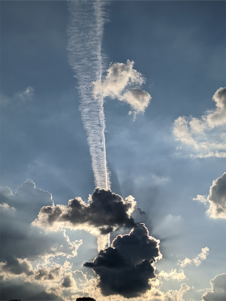 京都二条城で撮影した雲龍（飛行機雲）